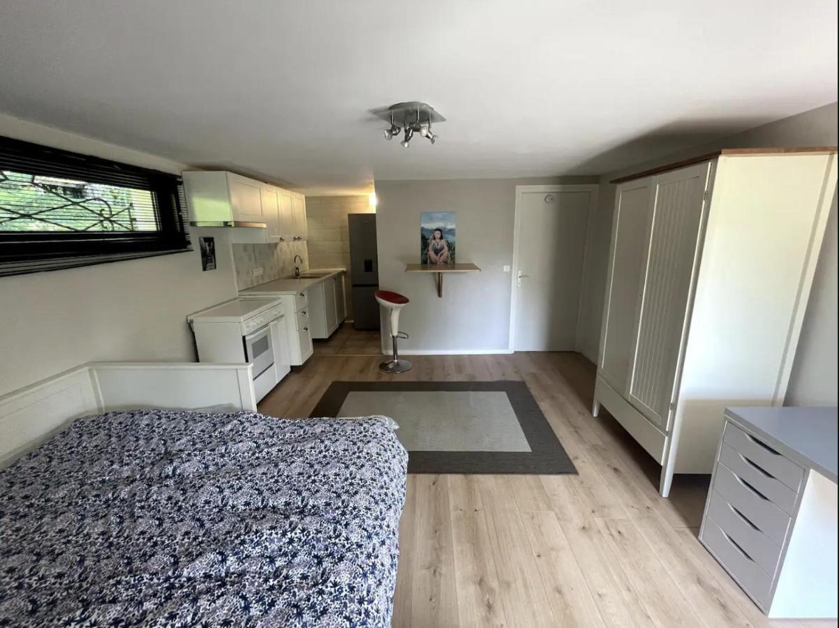 Quiet Studio In A House In Sevrier Annecy Lake Very Close To The Lake Exterior foto